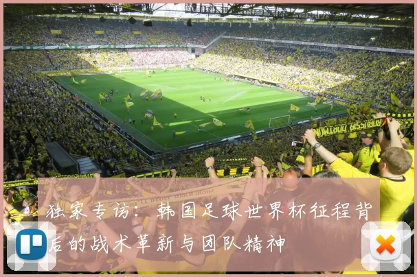 独家专访：韩国足球世界杯征程背后的战术革新与团队精神