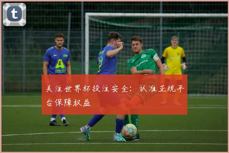 关注世界杯投注安全：认准正规平台保障权益