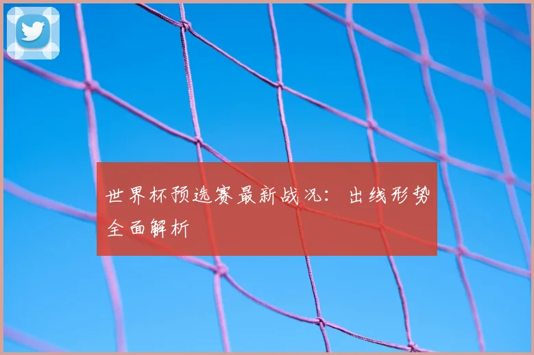 世界杯预选赛最新战况：出线形势全面解析