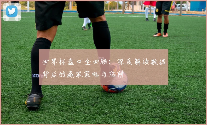 世界杯盘口全回顾:深度解读数据背后的赢家策略与陷阱