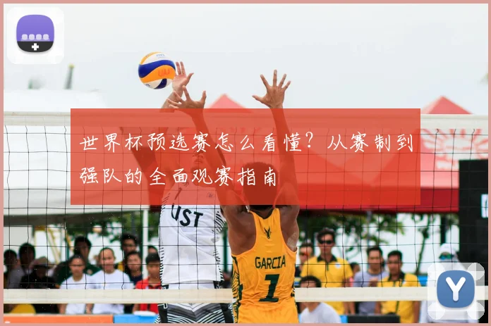 世界杯预选赛怎么看懂？从赛制到强队的全面观赛指南